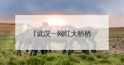 武汉一网红大桥桥下被指圈起来收费，进去100块还必须消费？当地回应