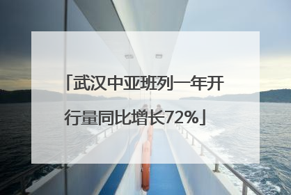 武汉中亚班列一年开行量同比增长72%