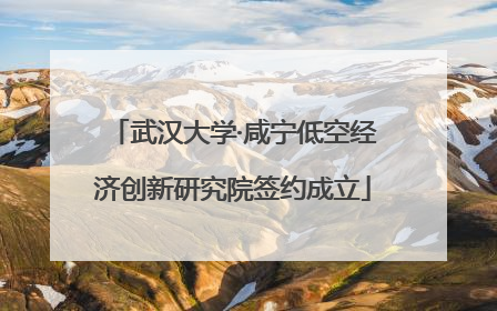 武汉大学·咸宁低空经济创新研究院签约成立