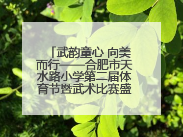 武韵童心 向美而行——合肥市天水路小学第二届体育节暨武术比赛盛大开幕