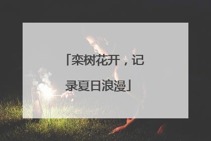 栾树花开，记录夏日浪漫