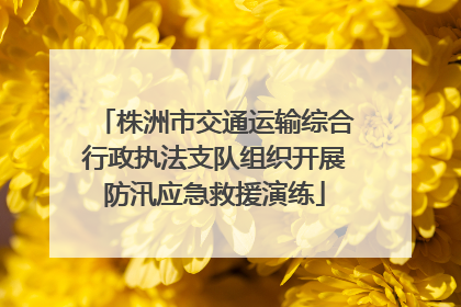 株洲市交通运输综合行政执法支队组织开展防汛应急救援演练
