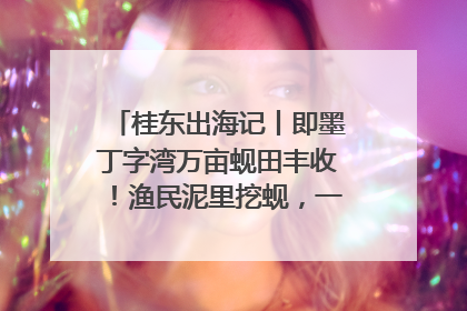 桂东出海记丨即墨丁字湾万亩蚬田丰收！渔民泥里挖蚬，一天上岸过千斤