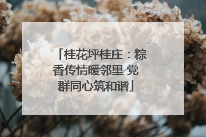 桂花坪桂庄：粽香传情暖邻里 党群同心筑和谐