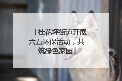 桂花坪街道开展六五环保活动，共筑绿色家园