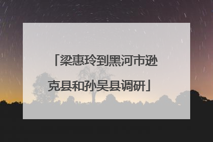 梁惠玲到黑河市逊克县和孙吴县调研