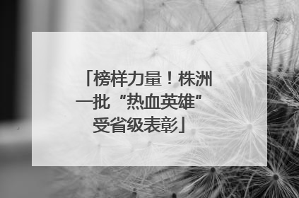 榜样力量！株洲一批“热血英雄”受省级表彰