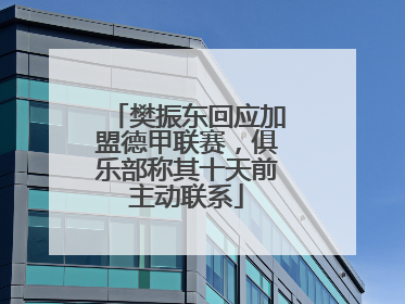 樊振东回应加盟德甲联赛，俱乐部称其十天前主动联系
