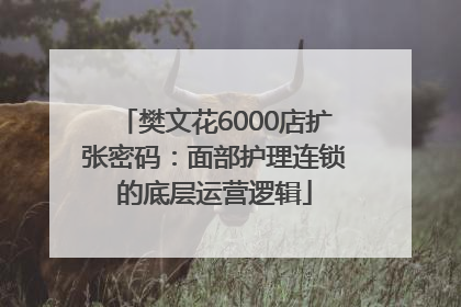 樊文花6000店扩张密码：面部护理连锁的底层运营逻辑