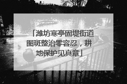 潍坊寒亭固堤街道图斑整治零容忍，耕地保护见真章