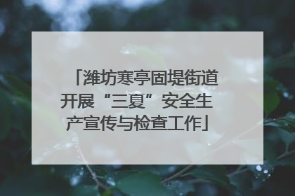 潍坊寒亭固堤街道开展“三夏”安全生产宣传与检查工作