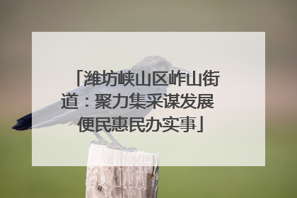 潍坊峡山区岞山街道：聚力集采谋发展 便民惠民办实事