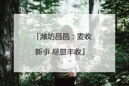 潍坊昌邑：麦收新事 尽显丰收