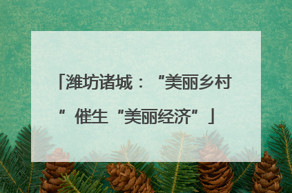 潍坊诸城：“美丽乡村”催生“美丽经济”