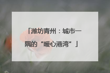 潍坊青州：城市一隅的“暖心港湾”