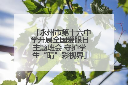 永州市第十六中学开展全国爱眼日主题班会 守护学生“睛”彩视界