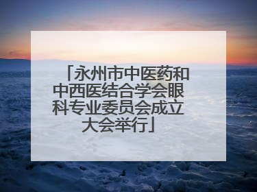 永州市中医药和中西医结合学会眼科专业委员会成立大会举行