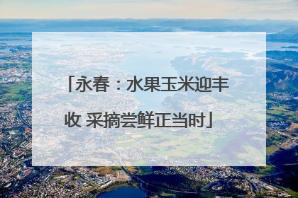 永春：水果玉米迎丰收 采摘尝鲜正当时