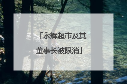 永辉超市及其董事长被限消