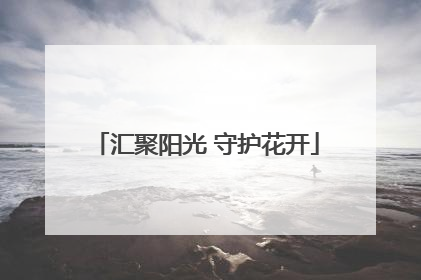 汇聚阳光 守护花开