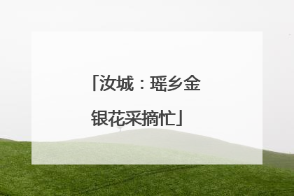 汝城：瑶乡金银花采摘忙