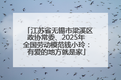 江苏省无锡市梁溪区政协常委、2025年全国劳动模范钱小玲：有爱的地方就是家