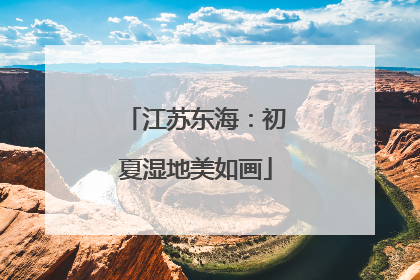 江苏东海：初夏湿地美如画