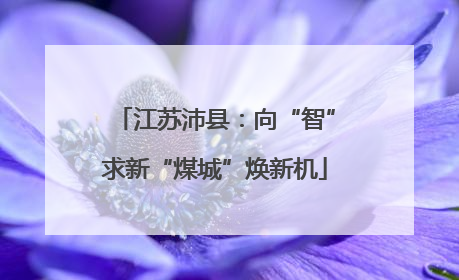 江苏沛县：向“智”求新“煤城”焕新机