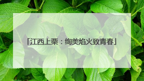 江西上栗：绚美焰火致青春