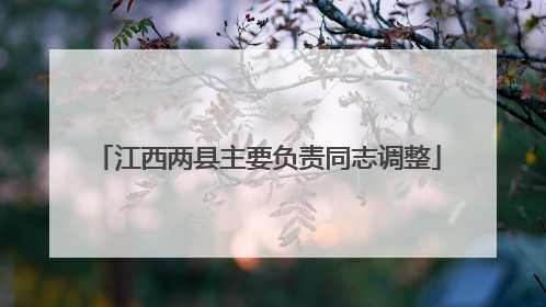 江西两县主要负责同志调整