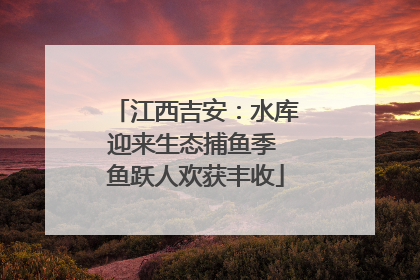 江西吉安：水库迎来生态捕鱼季 鱼跃人欢获丰收