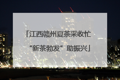 江西赣州夏茶采收忙 “新茶勃发”助振兴