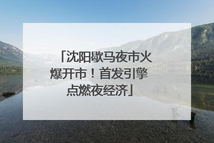 沈阳歇马夜市火爆开市！首发引擎点燃夜经济