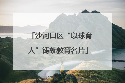沙河口区“以球育人”铸就教育名片