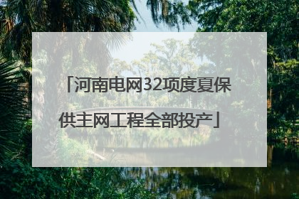 河南电网32项度夏保供主网工程全部投产