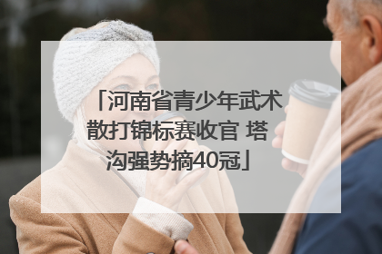 河南省青少年武术散打锦标赛收官 塔沟强势摘40冠