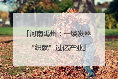 河南禹州：一缕发丝“织就”过亿产业