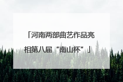 河南两部曲艺作品亮相第八届“南山杯”