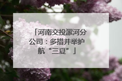 河南交投漯河分公司：多措并举护航“三夏”