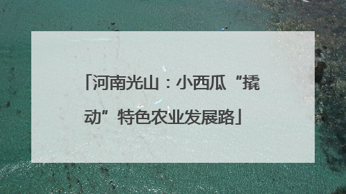 河南光山：小西瓜“撬动”特色农业发展路