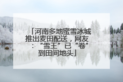 河南多地蜜雪冰城推出麦田配送，网友：“雪王”已“卷”到田间地头