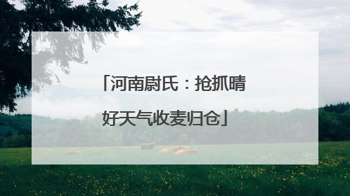 河南尉氏：抢抓晴好天气收麦归仓