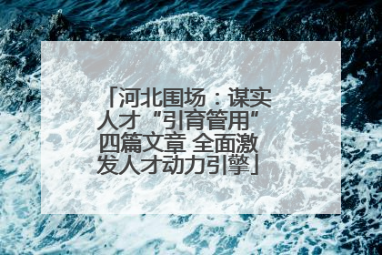 河北围场：谋实人才“引育管用”四篇文章 全面激发人才动力引擎