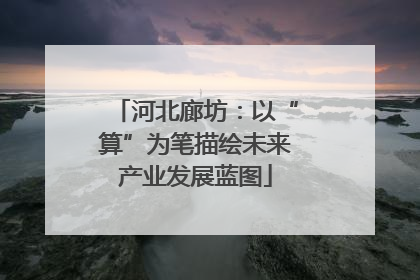 河北廊坊：以“算”为笔描绘未来产业发展蓝图
