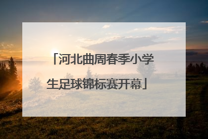 河北曲周春季小学生足球锦标赛开幕