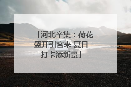 河北辛集：荷花盛开引客来 夏日打卡添新景