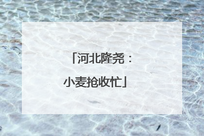 河北隆尧：小麦抢收忙