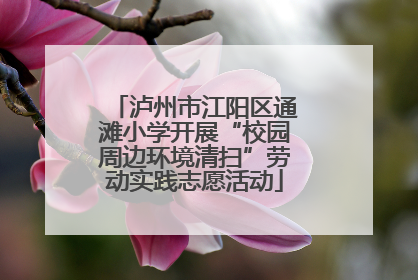 泸州市江阳区通滩小学开展“校园周边环境清扫”劳动实践志愿活动