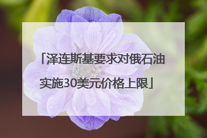 泽连斯基要求对俄石油实施30美元价格上限