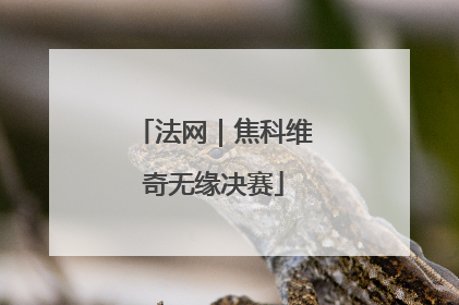 法网｜焦科维奇无缘决赛